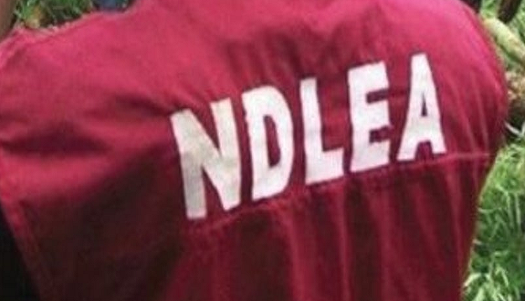 NDLEA seeks collaboration with Nigerian Army to combat drug trafficking